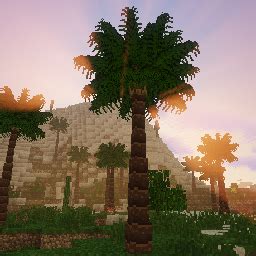 Dynamic Trees - Biomes O' Plenty 1.16.5-2.0.9 - Dynamic Trees - Biomes ...