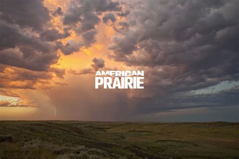 Grassland Birds | Projects & Programs | American Prairie