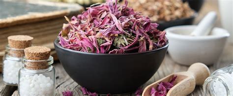 Two Immune-Boosting Herbs - Live Naturally Magazine