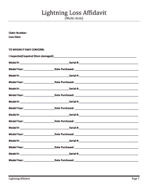 Fillable Online Lightning Loss Affidavit Fax Email Print PdfFiller