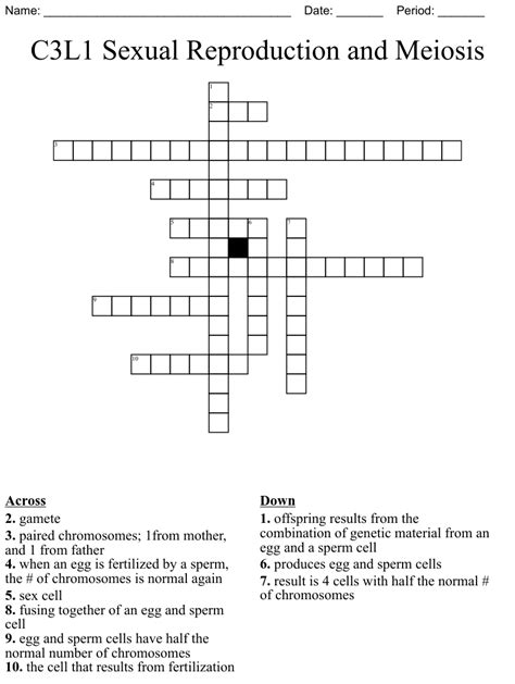 C3L1 Sexual Reproduction And Meiosis Crossword WordMint