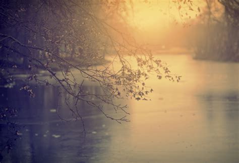 How to find affordable options for Cremation Costs in your area 8