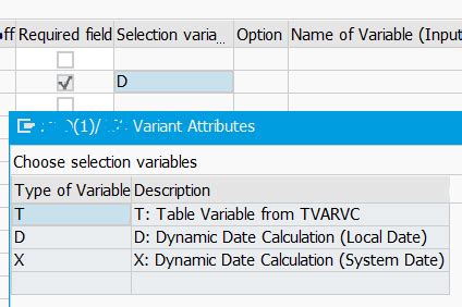 Create SAP Dynamic Variant Using Date Calculation