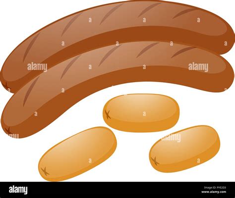 Two Types Of Sausages Illustration Stock Vector Image Art Alamy