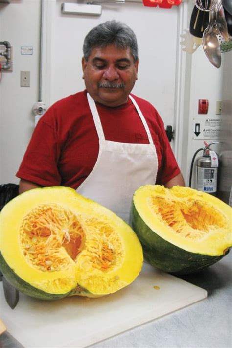 Garden produces oversized squash