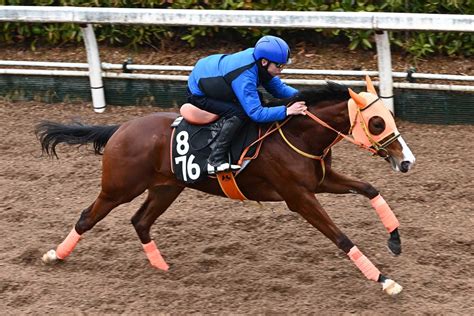 【チューリップ賞追い切り】ナミュールは新コンビ・横山武を背に抜群の伸び脚！ 重たい馬場も苦にせず2馬身先着 競馬ニュース・特集なら東スポ競馬