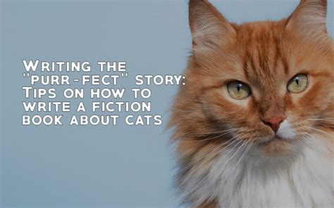 Writing The Purr Fect” Story Tips On How To Write A Fiction Book