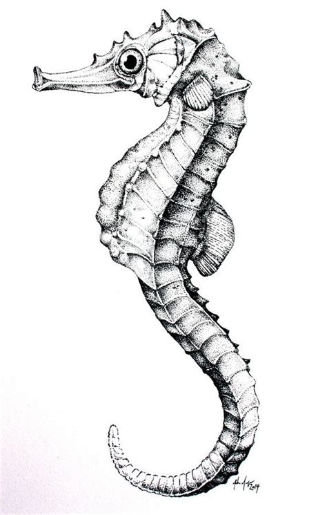 Seahorse drawing, Seahorse art, Stippling art