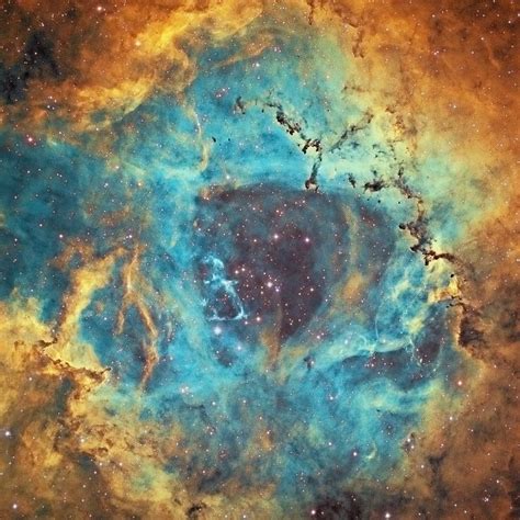 Julio Maiz On Twitter A Heart Of A Rose The Rosette Nebula By Terry