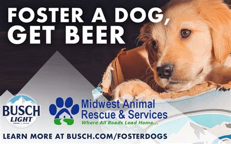 Anheuser Busch Beer Promotes Dog Fostering Adoption 03262020