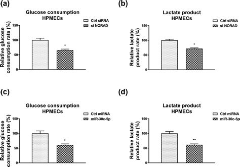 NORAD Modulates MiR 30c 5p LDHA To Protect Lung Endothelial Cells Damage