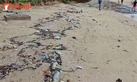 stomper rampant littering  east coast park   resemble