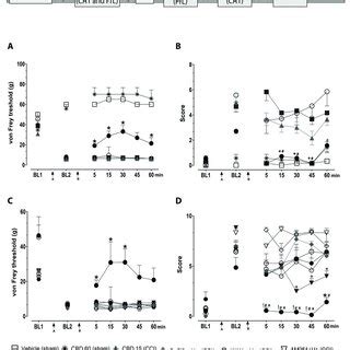 Cbd At Nmol Effect On The Number Of C Fos Protein Labeled Neurons In