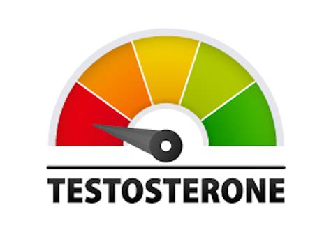 Mens Health Test Get A Health Check For Testosterone Psa And More Selph