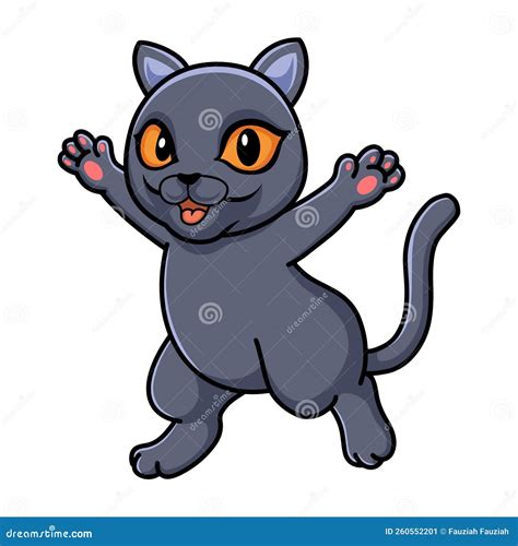 Cute British Shorthair Cat Cartoon Stock Vector - Illustration of