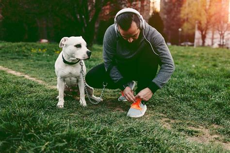 Terapia de reducción de estrés en perros PorEstrés