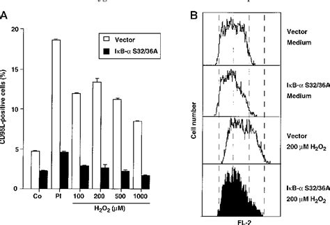 Figure 6 From Role Of Reactive Oxygen Intermediates In Activation