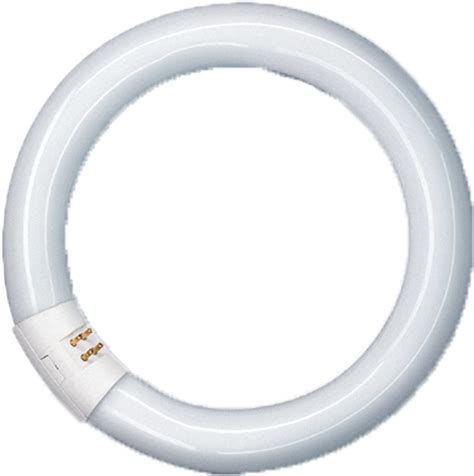 31218363 Leuchtstofflampe SpectraluxPlus Ring NL T9 32W 840C G10Q