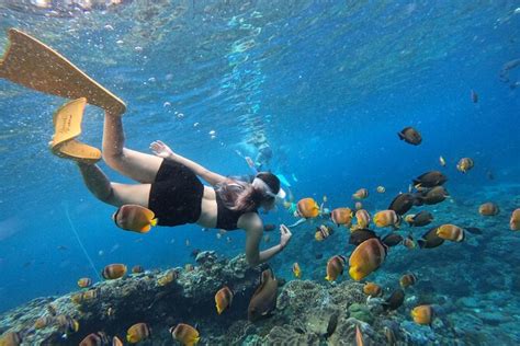 Day Trip From Nusa Lembongan With Snorkeling Mar 2024