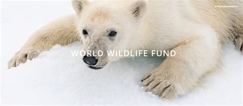 World Wildlife Fund (WWF) - CultureVore