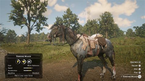 Small but cool detail: Murfree Brood horses have unique looks and ...