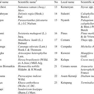 Tree species identification in the study. | Download Table