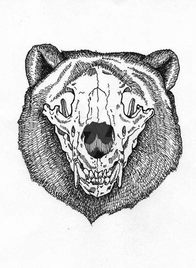 Bear Skull by sonsofvolo on DeviantArt