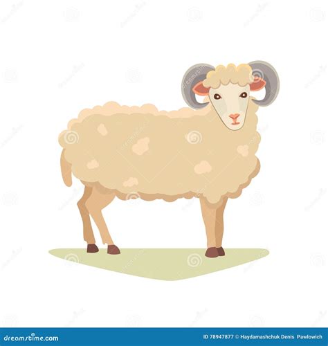 Vector Set Cute Sheep And Ram Isolated Retro Illustration Stock Vector