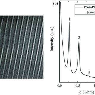 A Bright Field Tem Image Of The Ps B Pb B Pdms Or Sample