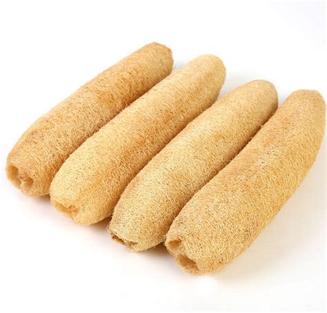 Loofah Vegetable Sponges Pack Of 5 Asian Culture Webmartial