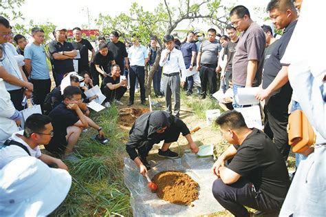 精心开展培训 强化队伍建设 ——我省扎实推进第三次全国土壤普查 泽州县人民政府