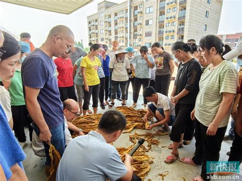 粤桂协作│四会农业农村局到富川开展结对帮扶活动 共谋强产富农大计新快网