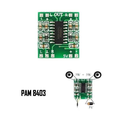 Pam Amplifier Board Pinout Features And Datasheet Off