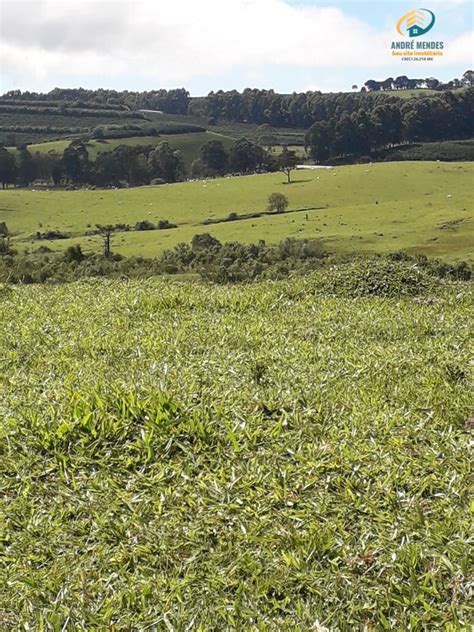 Fazenda A Venda 791 Hectares R 30 Milhões Em Campanha Mg Achou Mudou