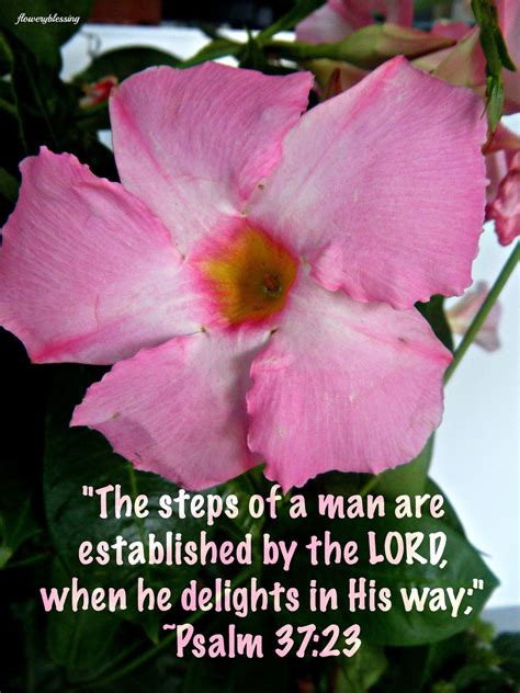 Flowery Blessing The Steps Of A Man Are Established By The LORD When