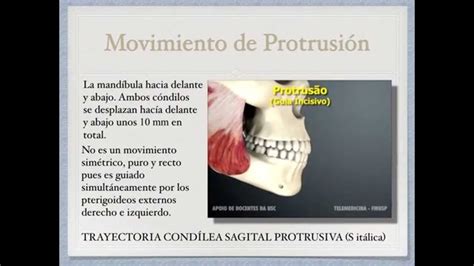 Movimientos mandibulares - YouTube