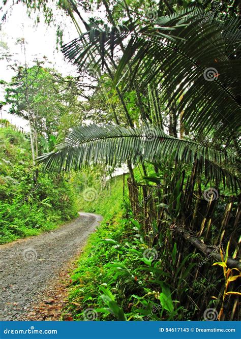Rural roads stock image. Image of market, tertiary, ferries - 84617143
