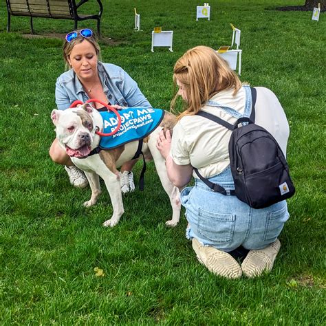 Pet Fest | Glens Falls Collaborative