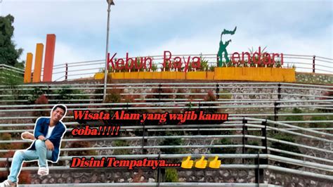 Wisata Alam Kebun Raya Kendari YouTube