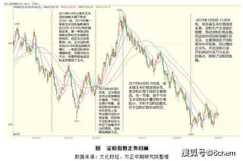 玉米、淀粉市场回顾与2020年展望：春风又绿玉米岸 明月何时照我还生猪