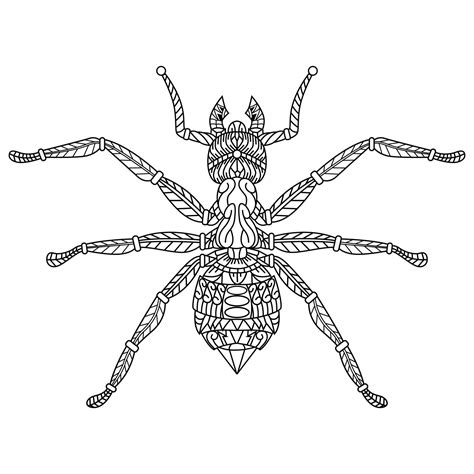 Ant line art 11736556 Vector Art at Vecteezy