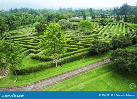 Taman Bunga Nusantara, Labyrinth Garden Green, Cool and Beautiful ...