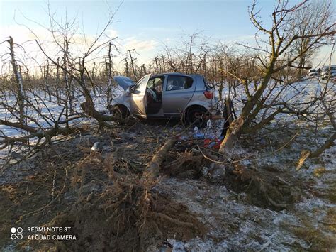 Straciła panowanie nad autem i wylądowała w sadzie Kobieta w sadzie