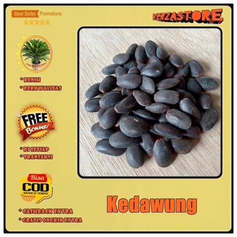 Jual Biji Benih Buah Kedaung Kedawung Tanaman Herbal Biji Shopee