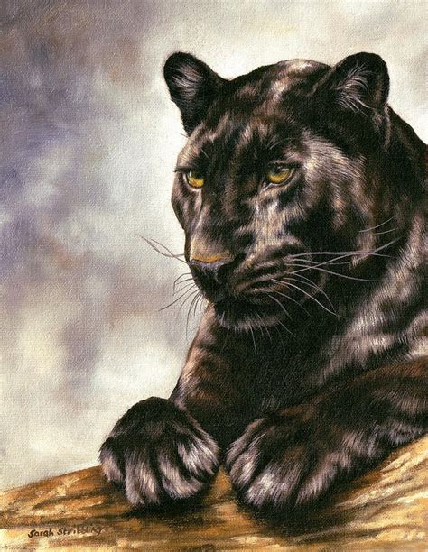 Realistic Black Panther Animal Drawing - Drawing Word Searches