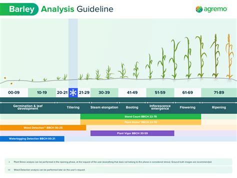 Growing Barley - Barley Farming Solutions | Agremo