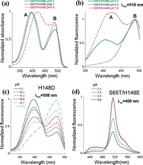 Normalized Absorbance Excitation And Emission Spectra A Absorbance