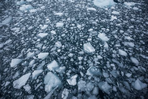 cold salt water adaptation