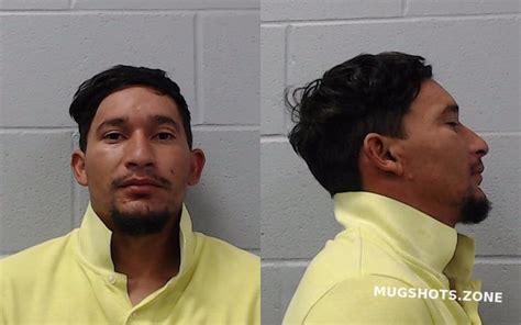 Mejia Suazo David Angel Hays County Mugshots Zone