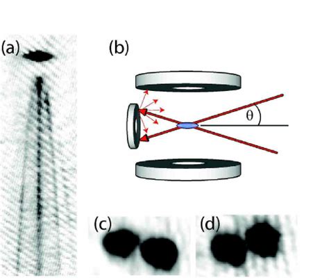 A Absorption Image 360 μ M X 1100 μ M Of A Multibeam Atom Laser